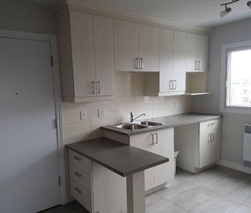 5 1/2 AVRIL OU MAI - Photo 3