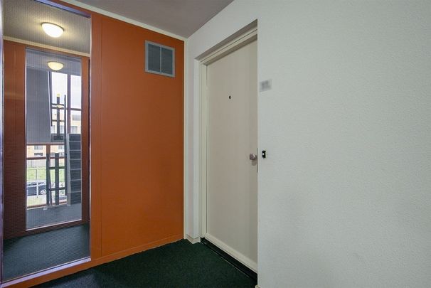 Aalscholverstraat - Photo 1