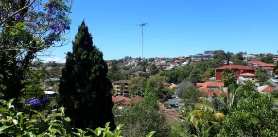 233 Alison Road,Randwick,New South Wales 2031, Sydney - Photo 2