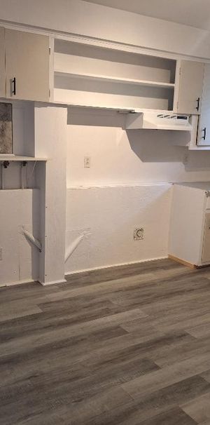 Libre imm 4.5 Rénové demi-sous sol 3plex 2 chambres (13×10 et 8x8) @ Vieux Longueuil - Photo 1