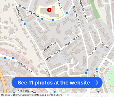 Ebdon Way, Torquay, TQ1 - Photo 1