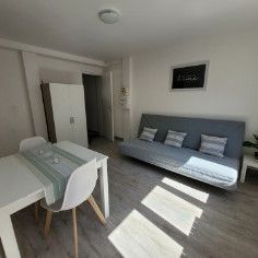Location Appartement 1 pièce 21m² LENS 62300 - Photo 1
