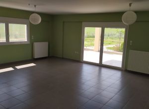 Διαμέρισμα για ενοικίαση - Βασιλικά, - Photo 2