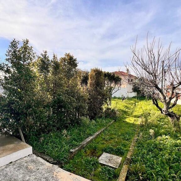 Lisboa, Lisbon - Photo 1