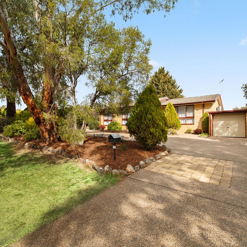 1,095sqm Leafy Retreat in Giralang - Photo 1