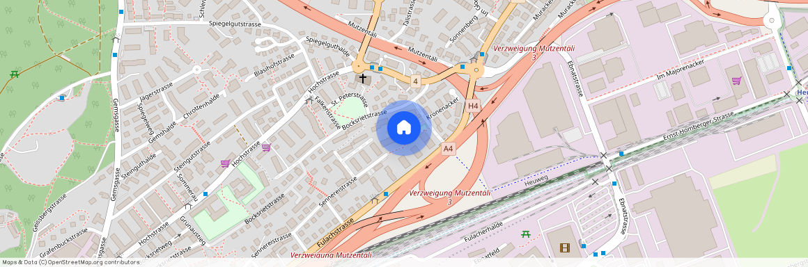 Heuweg 5, 8200 Schaffhausen