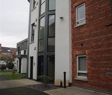 Apt 1, 223a Belmont Road, Belfast, BT4 2AH - Photo 6