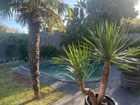 Frankston South - Photo 2