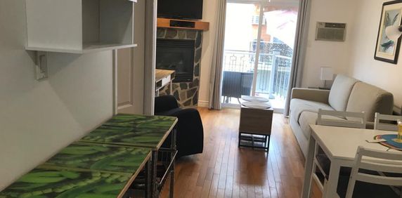 LOFT/Studio Entrée Privé À St-Sauveur Saison Ski et + - Photo 2