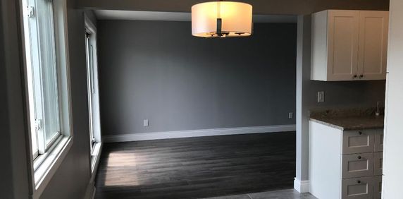 41/2 disponible maintenant, rénové, Longueil - Photo 2