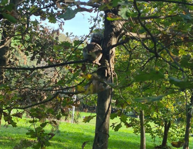 3 Zimmer, 70 m² - Foto 1