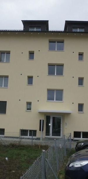 Gemütliche 2-Zimmer-Dachwohnung mit modernem Ausbau - im idyllischen Balterswil - Foto 1