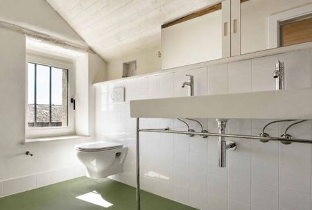 Rare house in the Geneva countryside - Photo 3