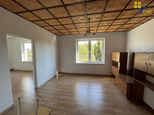 Konopiska, Aleksandria - Zdjęcie 1