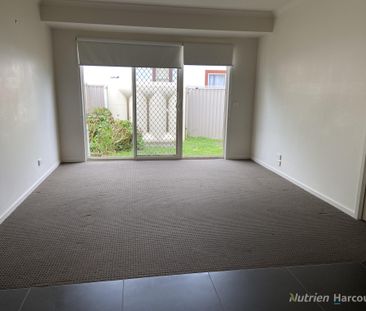 Large, Light-filled One Bedroom Unit - Photo 5