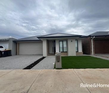 Brand New Property with Solar Power - Photo 5