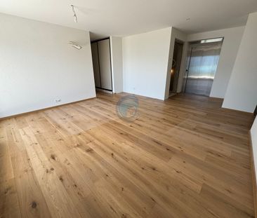 APPARTEMENT NEUF DE 4,5 PIÈCES AVEC VUE PANORAMIQUE SUR LE LAC - Foto 5