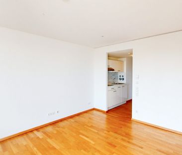 Modernes 1-Zimmer-Apartment mit tollem Ausblick - Photo 2