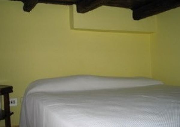 Trastevere-Terrace: 45sqm. Charming studio loft. Entrance, living room, separate kitchen, renovated bath, sleeping loft, large private terrace. Sunny, silent. Ref. 692