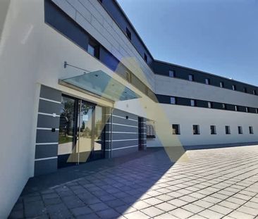 2 Zimmer, EG - Photo 1