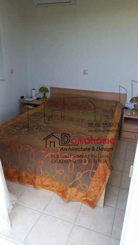 Διαμέρισμα για ενοικίαση Άγιος Κωνσταντίνος (Ωρωπός) - Photo 5