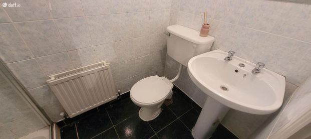 Ballygar Road, Mountbellew, Ballinasloe, Co. Galway - Photo 1