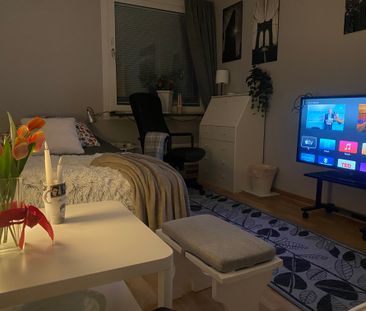 Skidbacken, Sundbyberg - Photo 5