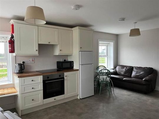 Ballycormack House, Ballycormack, Aglish, Roscrea, Tipperary, E53K304 - Photo 1