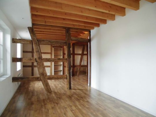 Location Appartement 4 pièces 96m² WISSEMBOURG 67160 - Photo 1