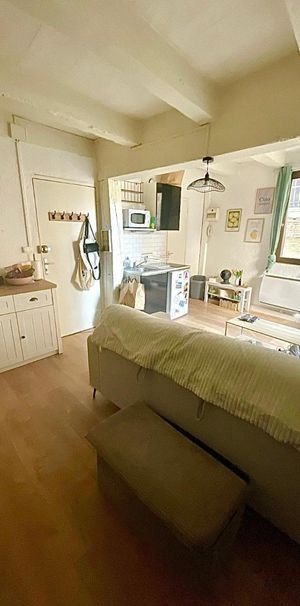 Location Appartement 1 pièce 23m² GAILLAC 81600 - Photo 1