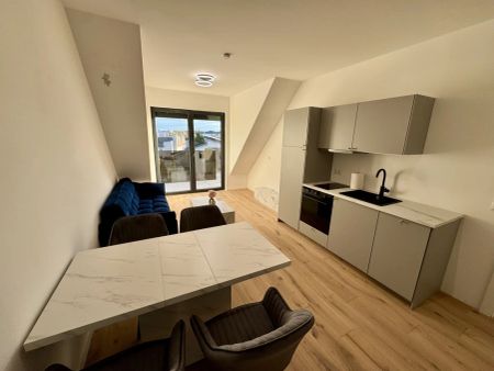 Monthly Rental! Luxury Living! Penthouse! Skyline+Kahlenberg View! Terrasse! Garage! - Foto 3