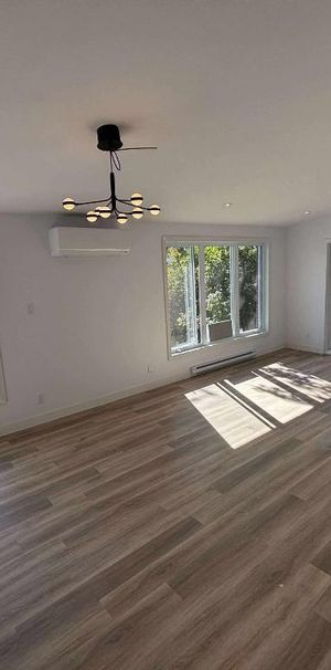 Grand 4½ entièrement rénové (Rez-de-chaussée de maison) - Photo 1