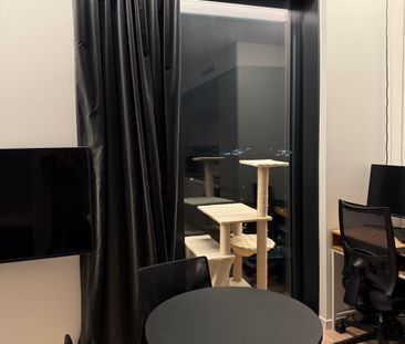 Lodjursstråket, Göteborg - Foto 4