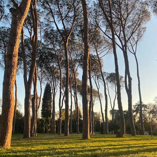 Via Cassia, Rome, Lazio 00189 - Photo 1