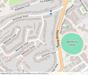 Westover Road- Westbury-on-Trym - Photo 1