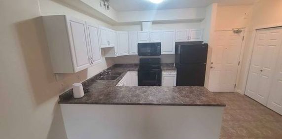 1 Bedroom Large, Bright, Clean Condo - Photo 2