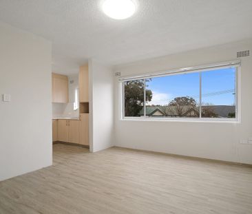 Vibrant 2 Bedroom Unit in Leichhardt - Photo 4