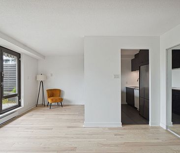 Appartement à louer, Montréal (Verdun/Île-des-Soeurs) - Photo 5