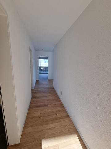 Moderne 3.5 Zimmer-Attikawohnung mit Aussicht - Foto 5