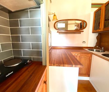 1/160 Smith Street, Summer Hill NSW 2130 - Studio For Rent | Domain - Photo 5