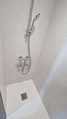 Location Appartement 1 pièce 28m² - Photo 4