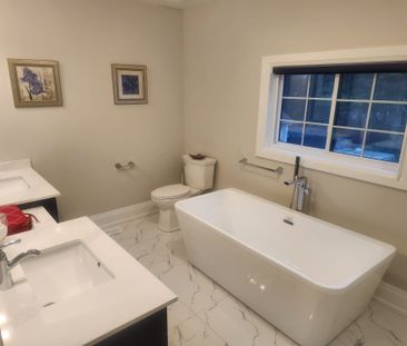 For Lease - 452 D'arcy Street Unit# Main Unit, Newmarket, Ontario - Photo 4