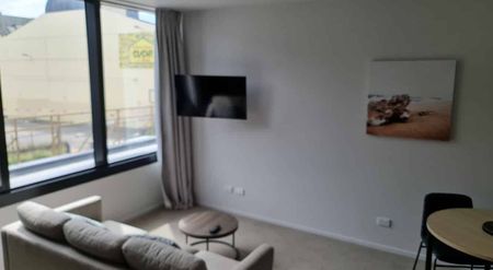 Furnished apartment located on the Taranaki Street - Photo 3