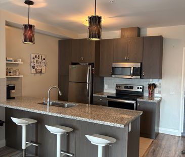 For Lease - 118 KING Street Unit# 419, Hamilton, Ontario - Photo 4