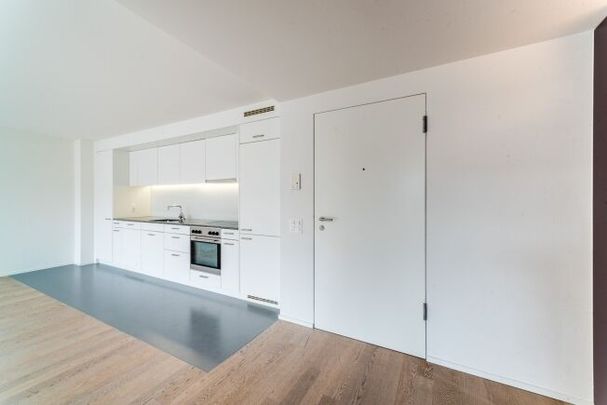 Modern 2.5-room apartment in the new city of Lucerne - Photo 1