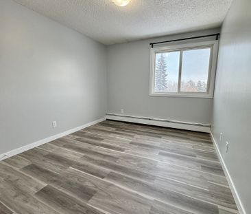 2 weeks free Modern 2-Bedroom Apartment - SMALL PET FRIENDLY! - Photo 2