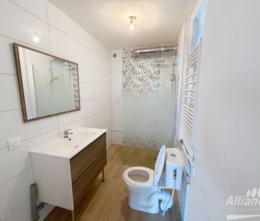 Location Appartement 3 pièces 55m² BELFORT 90000 - Photo 3
