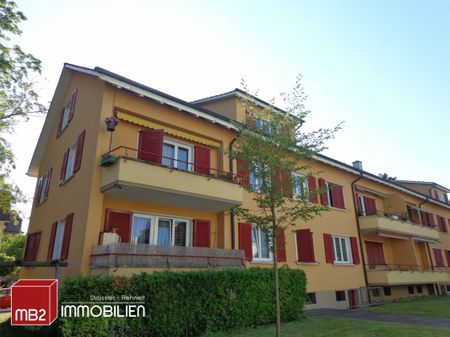 Schöne Genossenschaftswohnung mit Balkon zu vermieten / Joli appartement renové d'une coopérative avec balcon à louer - Photo 4