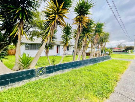 61, Sheehan Avenue, Papakura - Photo 4