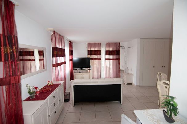 2.5-room furnished apartment with terrace - Photo 1